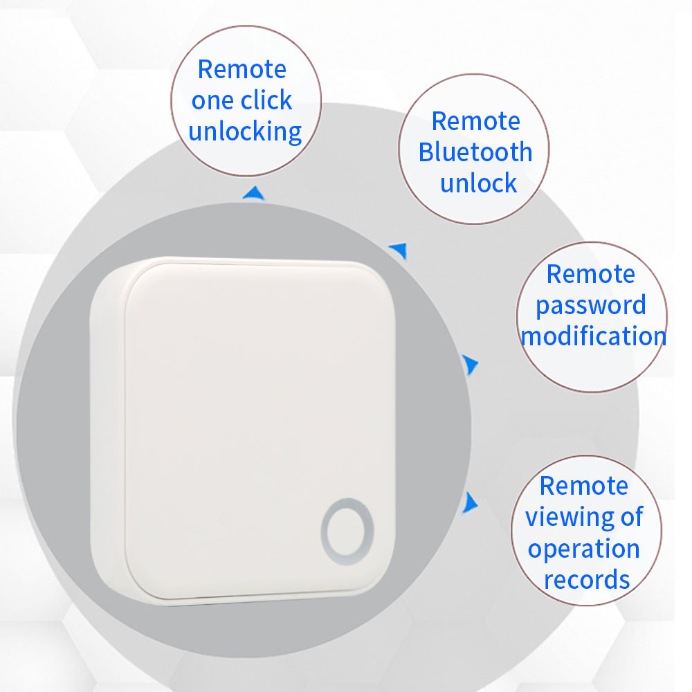 2,4G + 5G TTLOCK WIFI шлюз G5  – обзор и цена Smart Home Door Lock